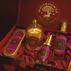 ABUNDANCE KIT